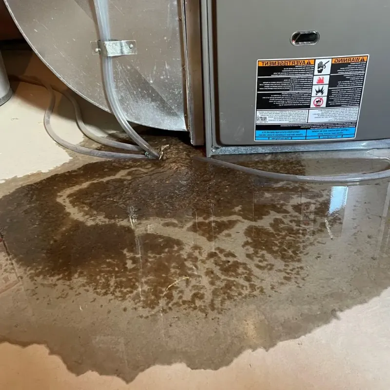 Pipe Burst and Leak Restoration in West Portsmouth, OH